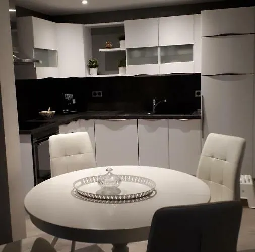 25 Rue Raymond Braillard