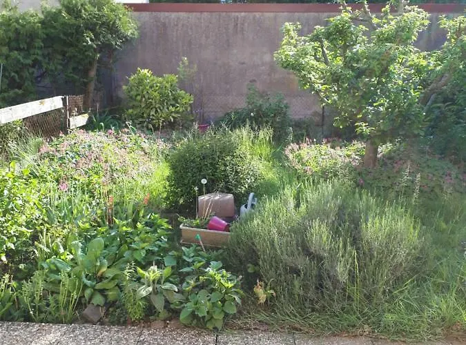 25 Rue Raymond Braillard