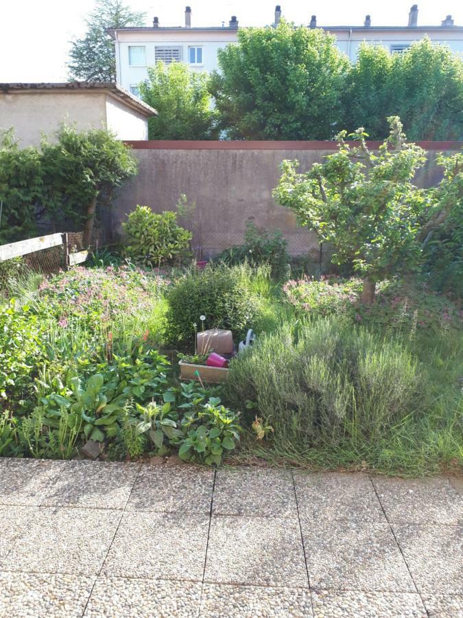 25 Rue Raymond Braillard